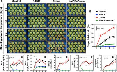 Systems-Based Approaches to Unravel Networks and Individual Elements Involved in Apple Superficial Scald